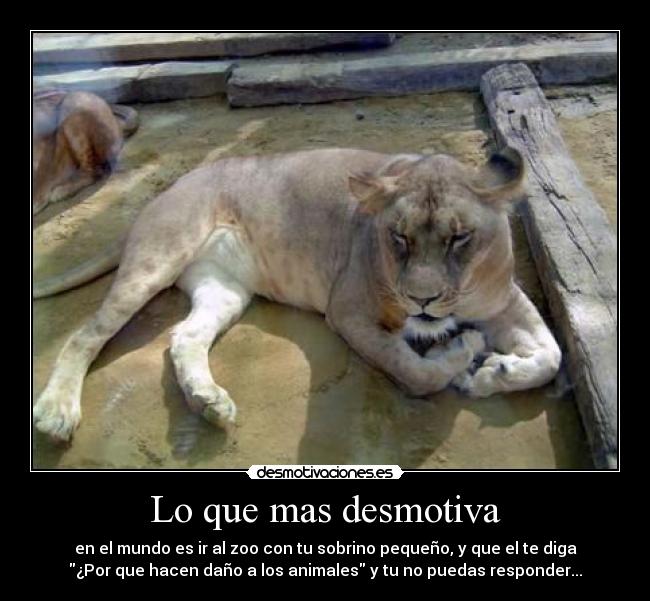 Lo que mas desmotiva -