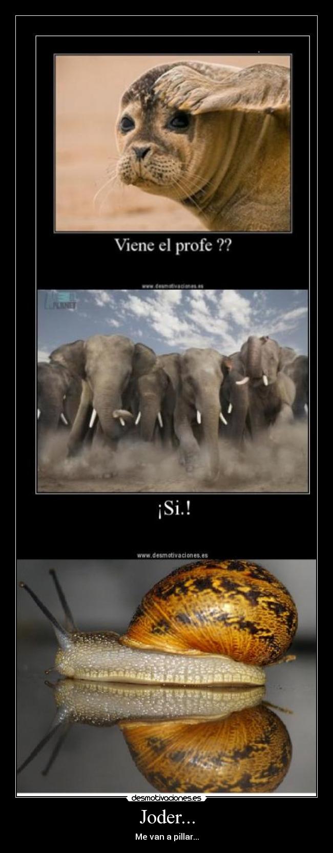 carteles joder desmotivaciones