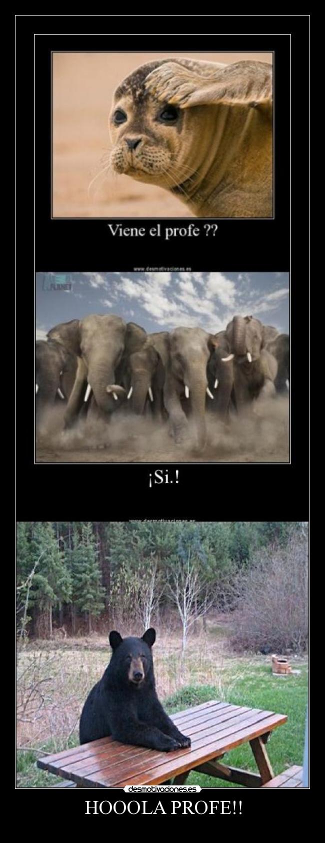 HOOOLA PROFE!! -