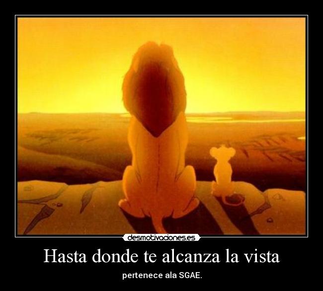 Hasta donde te alcanza la vista -