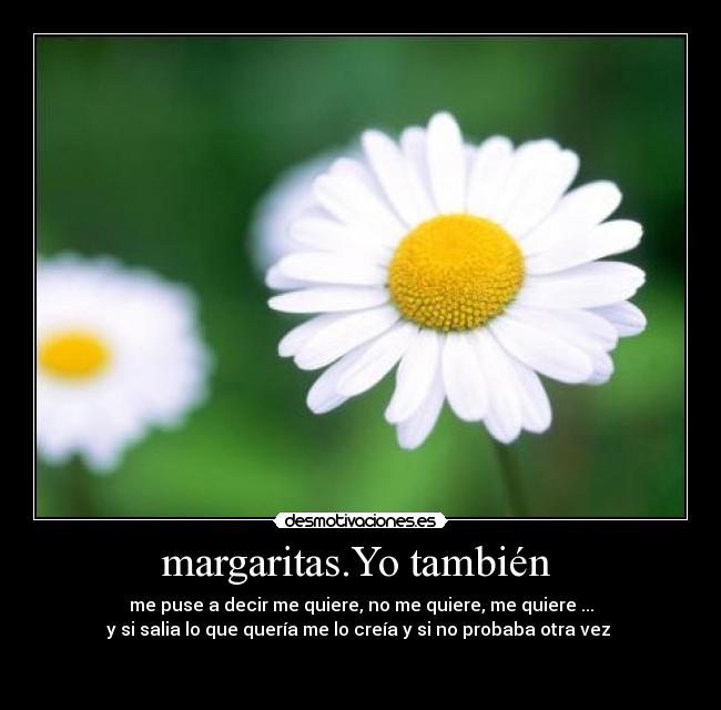 margaritas.Yo también -