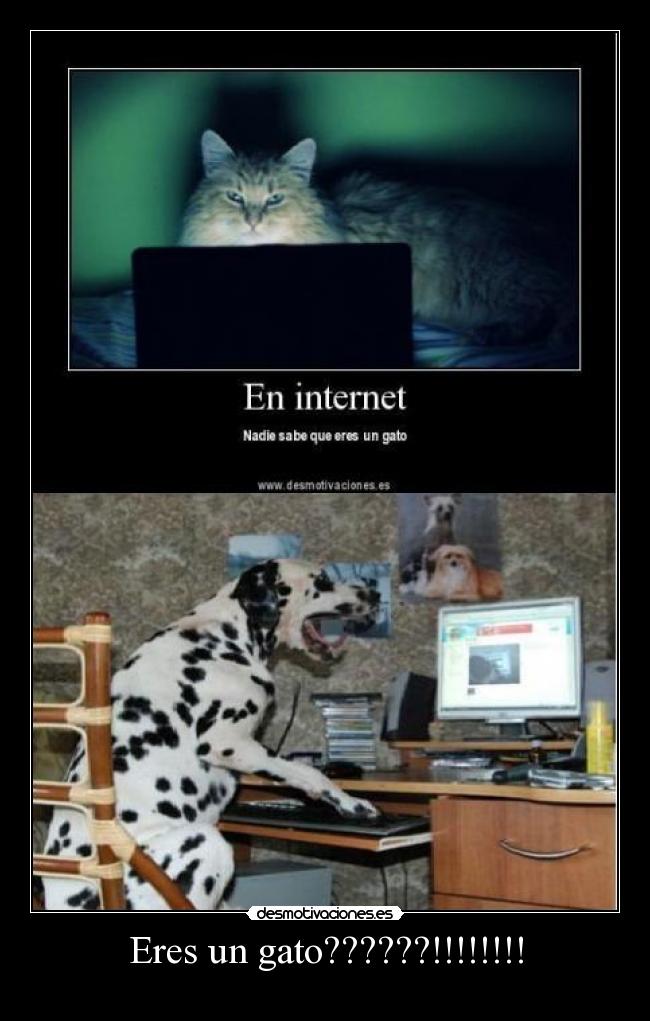 carteles 423 desmotivaciones