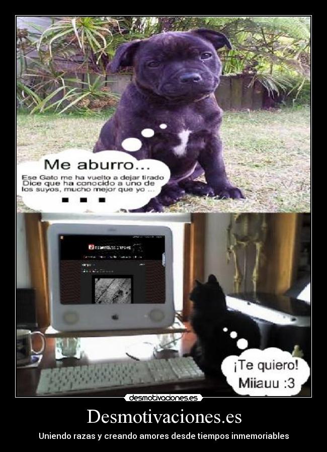 Desmotivaciones.es -