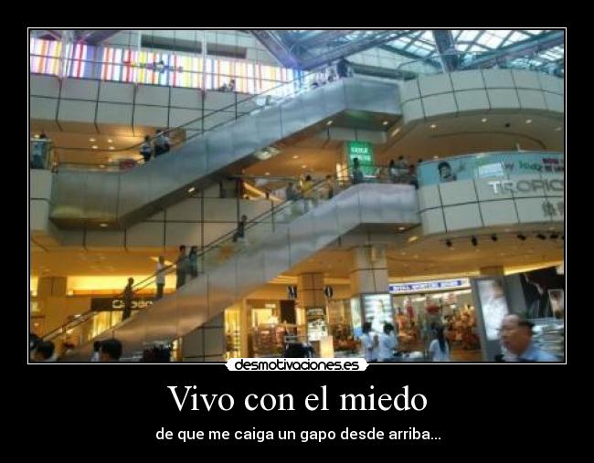 Vivo con el miedo - de que me caiga un gapo desde arriba...