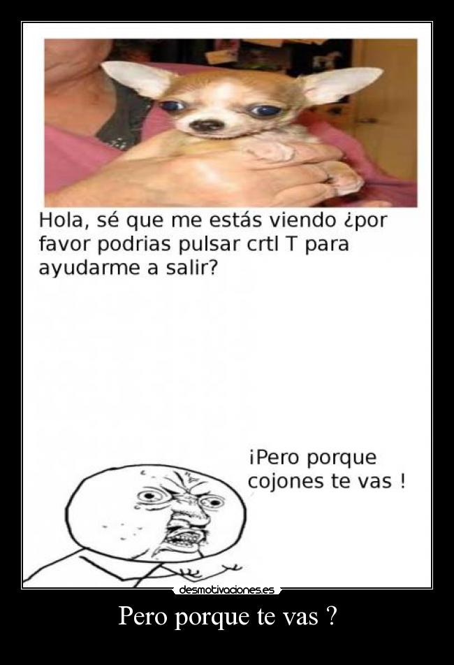 Pero porque te vas ? - 