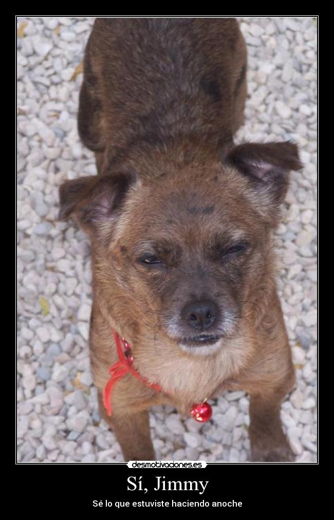 Sí, Jimmy - Sé lo que estuviste haciendo anoche