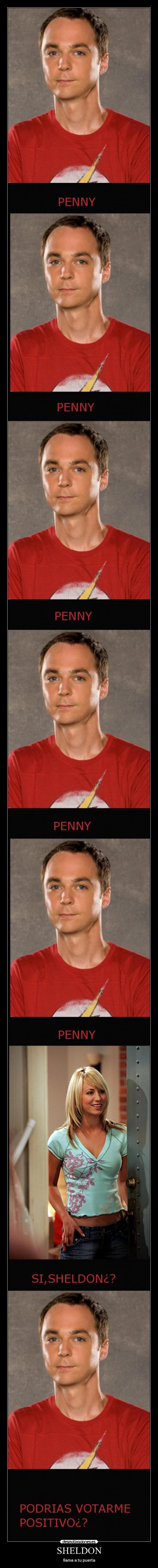 SHELDON - 