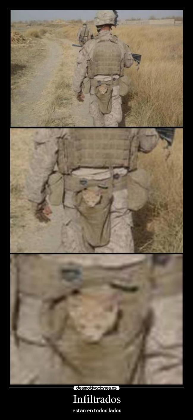 Infiltrados - 