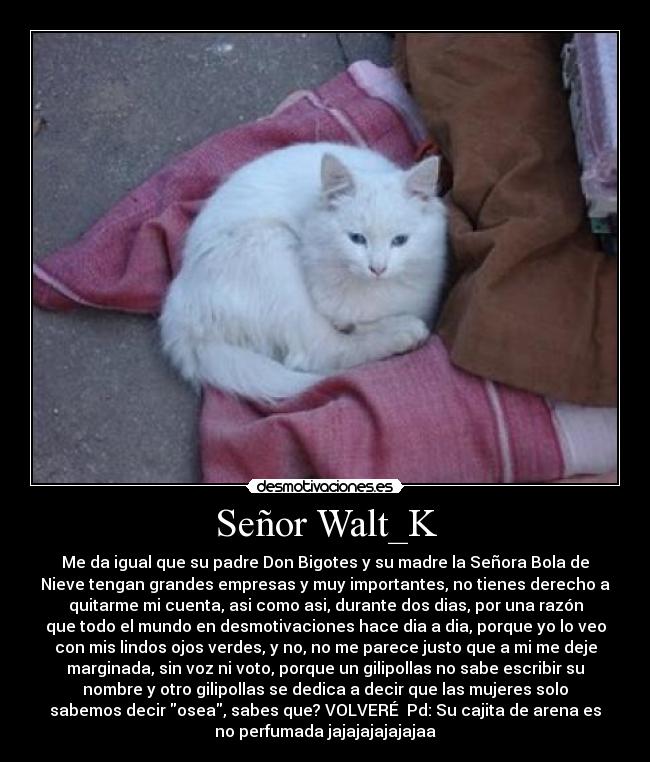 Señor Walt_K -