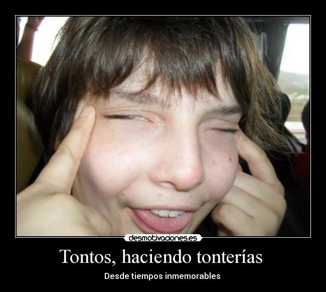 Tontos, haciendo tonterías  - 