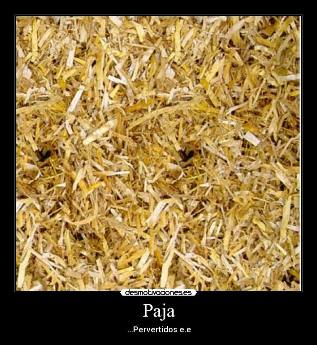 Paja - ...Pervertidos e.e