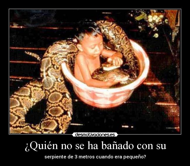 ¿Quién no se ha bañado con su - serpiente de 3 metros cuando era pequeño?