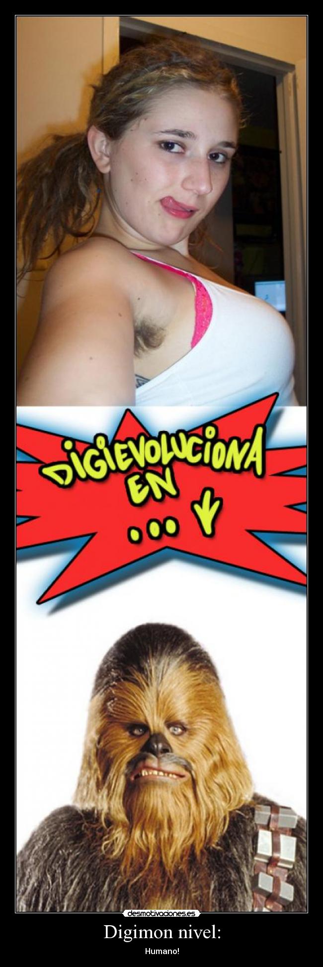 Digimon nivel: - 