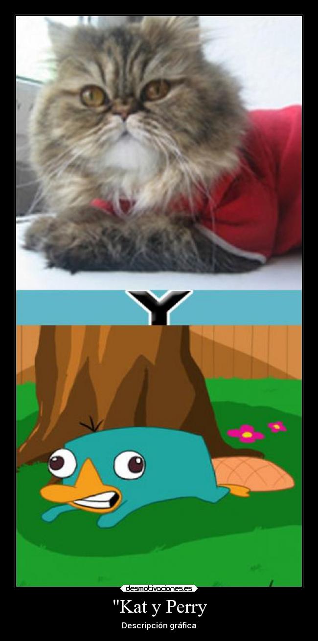 Kat y Perry - Descripción gráfica