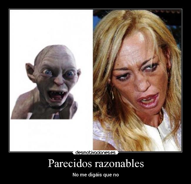 Parecidos razonables - 