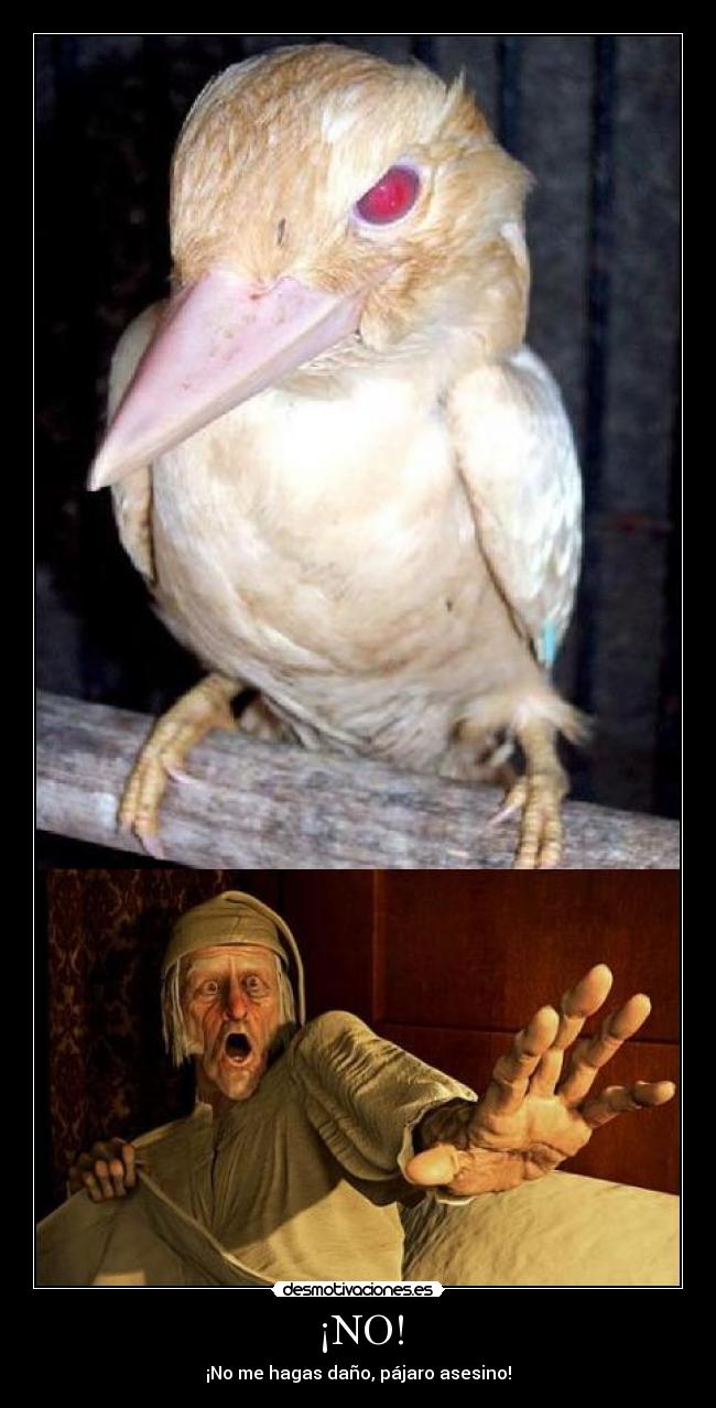 ¡NO! - ¡No me hagas daño, pájaro asesino!