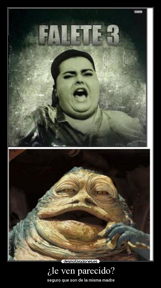 ¿le ven parecido? - seguro que son de la misma madre