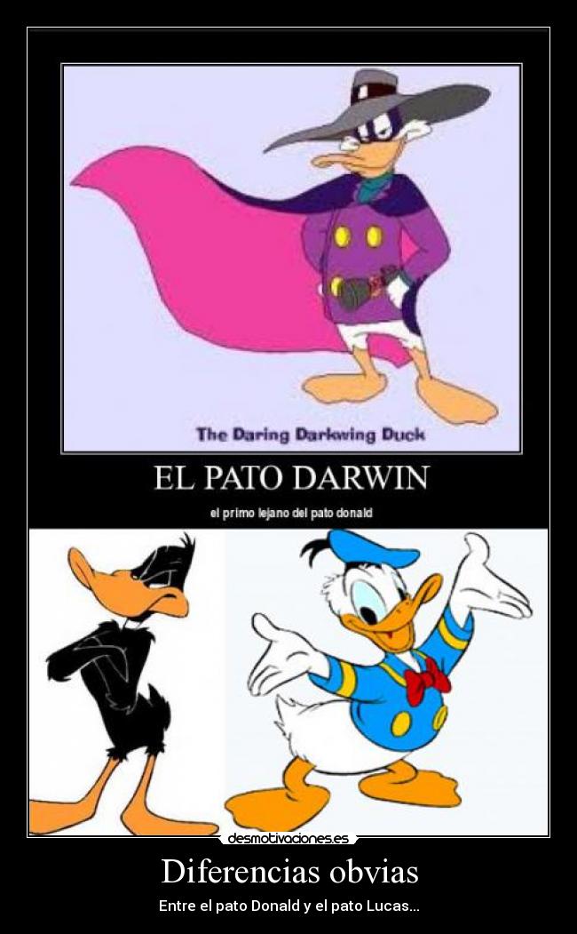 Diferencias obvias - 