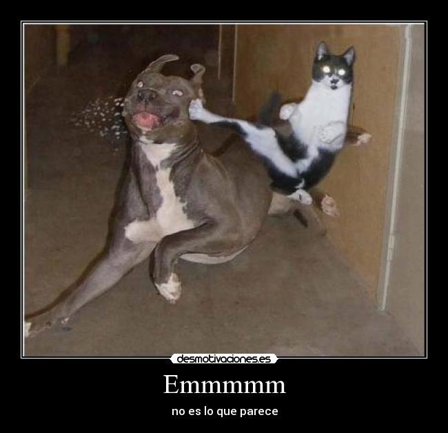 Emmmmm - no es lo que parece