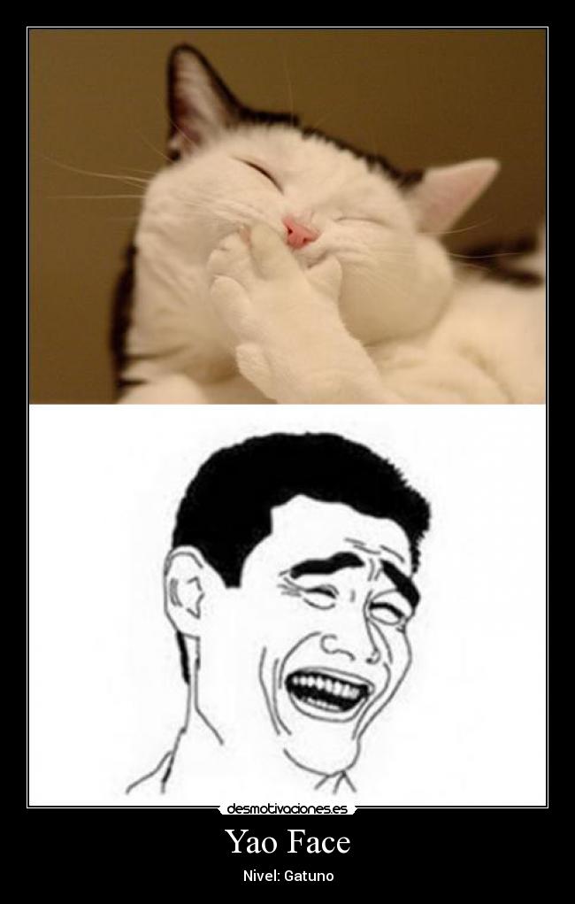 Yao Face - Nivel: Gatuno