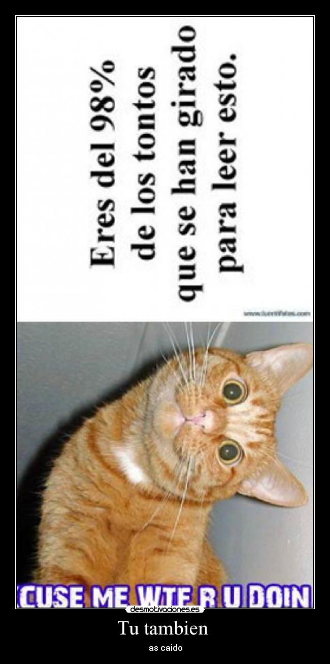 carteles sds desmotivaciones