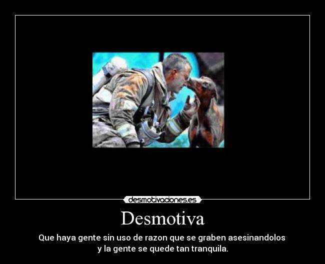 Desmotiva - Que haya gente sin uso de razon que se graben asesinandolos
y la gente se quede tan tranquila.