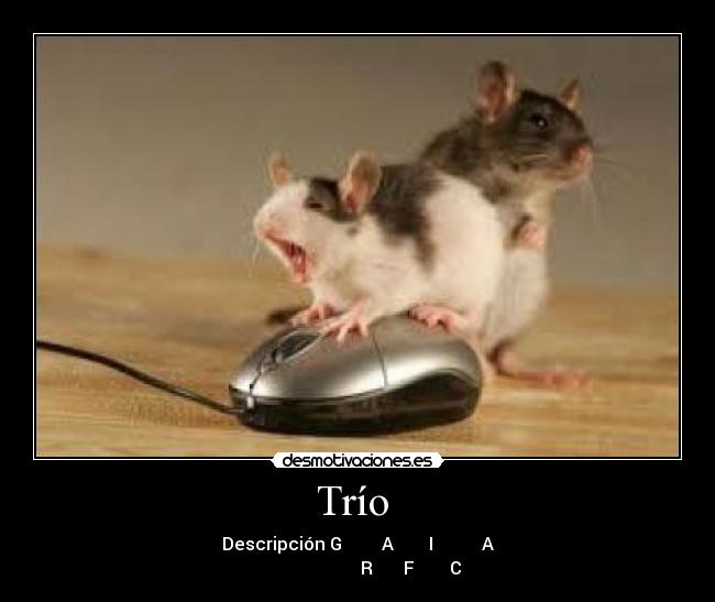 carteles trio descripcion grafica desmotivaciones