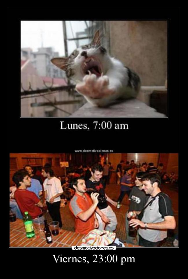 Viernes, 23:00 pm -
