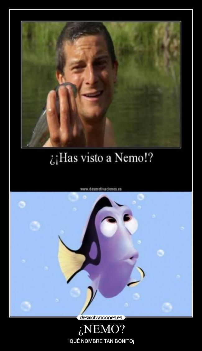 ¿NEMO? -