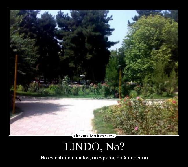 LINDO, No? - 