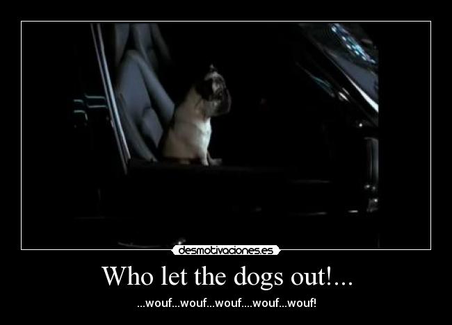 carteles dogs desmotivaciones