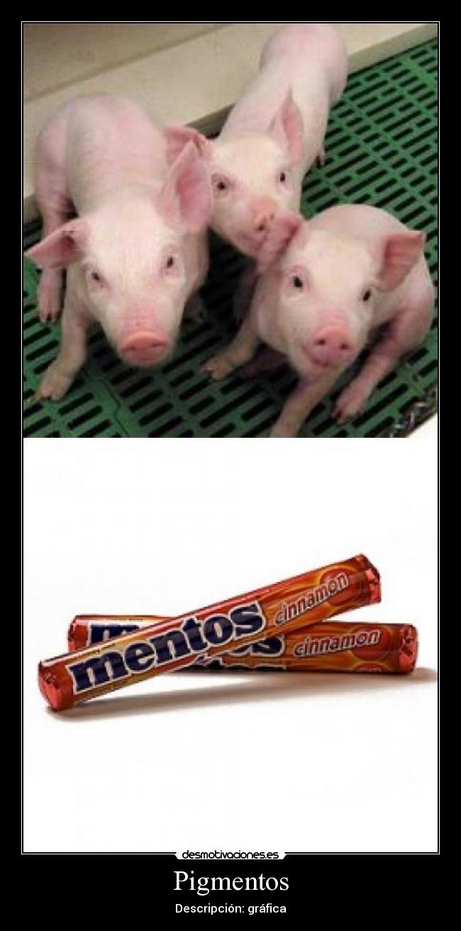 Pigmentos - Descripción: gráfica