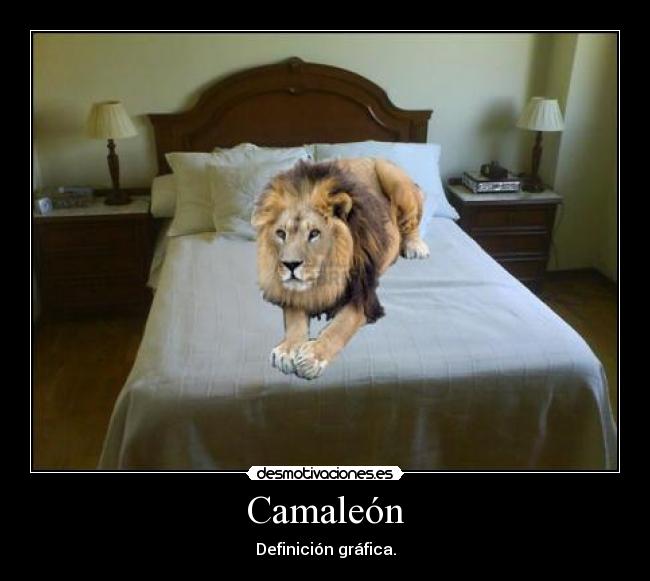 Camaleón - 