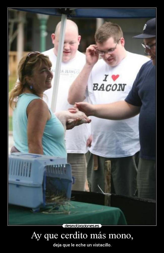 Ay que cerdito más mono, - deja que le eche un vistacillo.