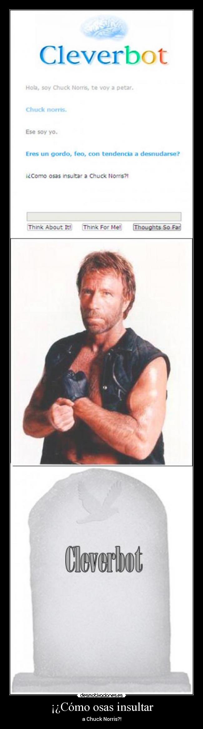 ¡¿Cómo osas insultar - a Chuck Norris?!
