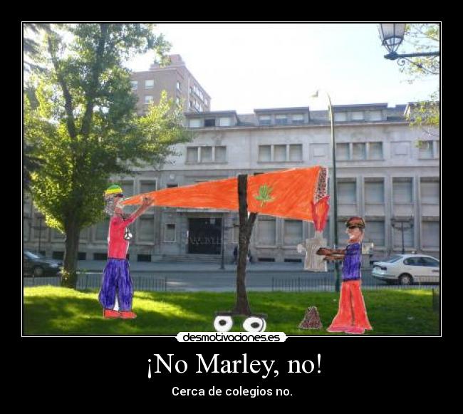¡No Marley, no! -