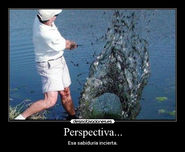 Perspectiva... - Esa sabiduría incierta.
