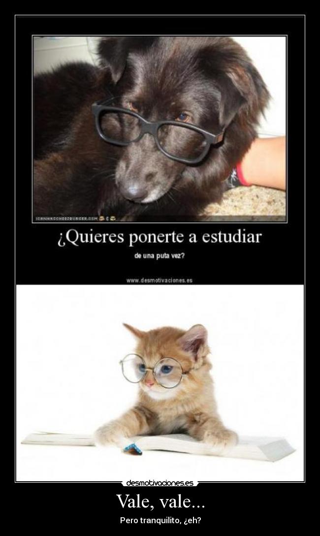 Vale, vale... - Pero tranquilito, ¿eh?