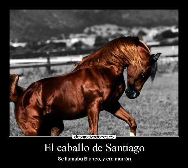 El caballo de Santiago - Se llamaba Blanco, y era marrón