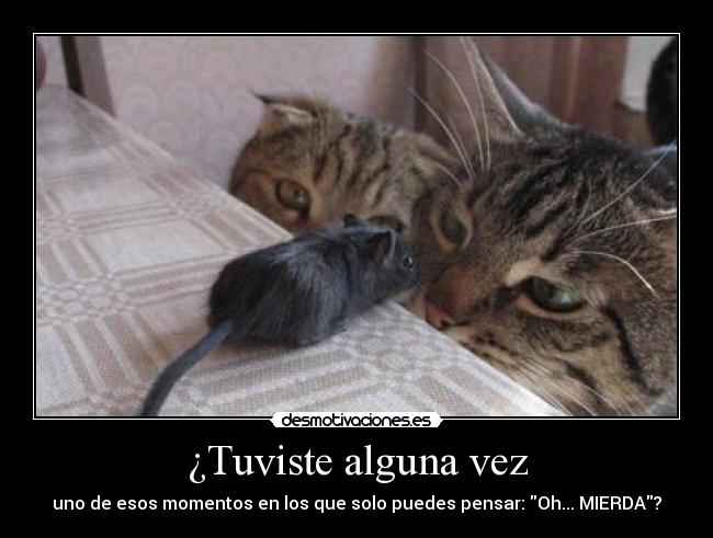 ¿Tuviste alguna vez - uno de esos momentos en los que solo puedes pensar: Oh... MIERDA?