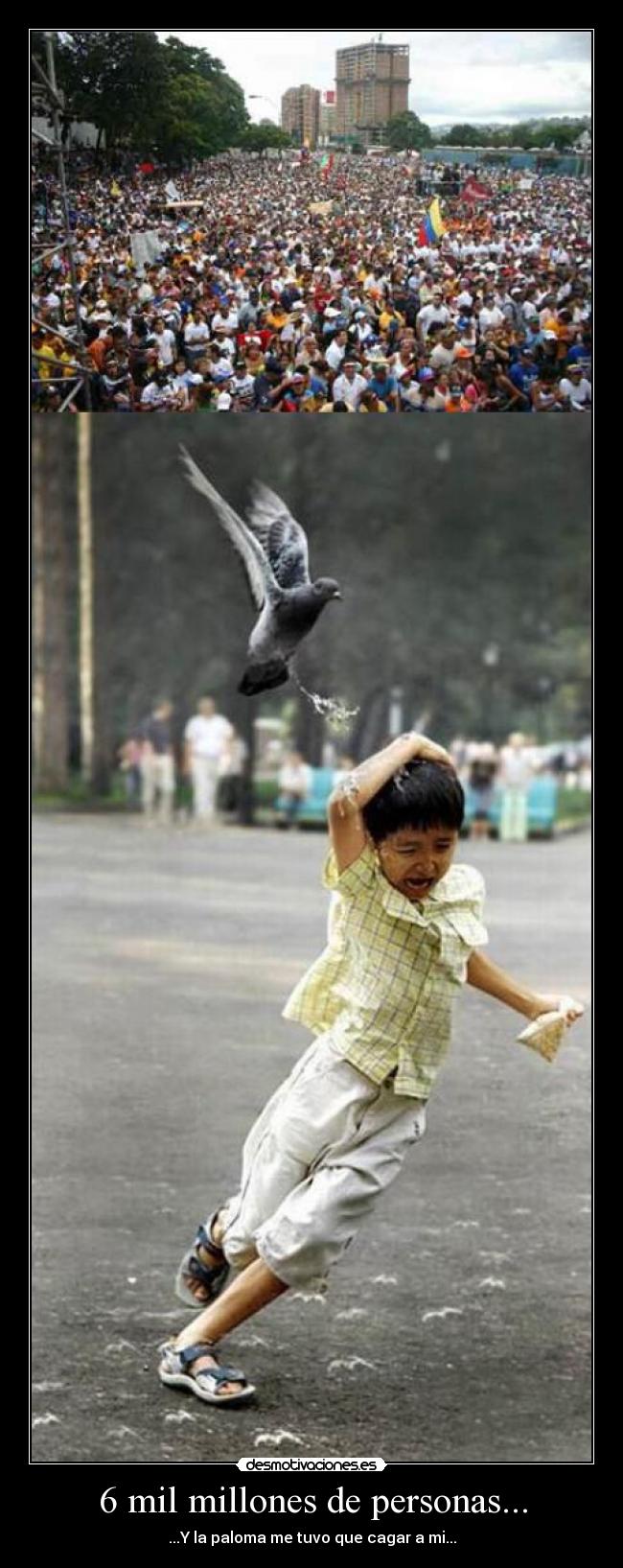 carteles personas paloma nino cagar desmotivaciones