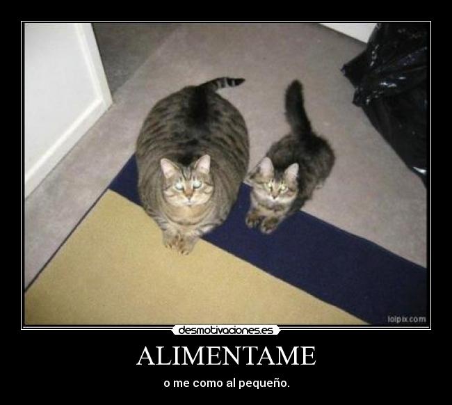 ALIMENTAME - o me como al pequeño.
