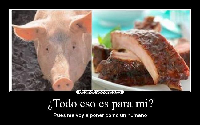 ¿Todo eso es para mi? -