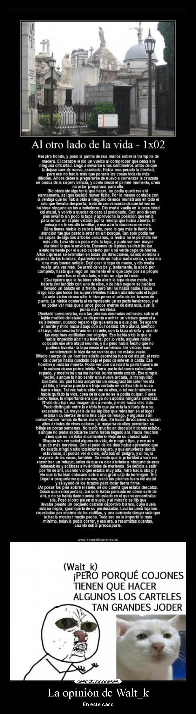 La opinión de Walt_k -
