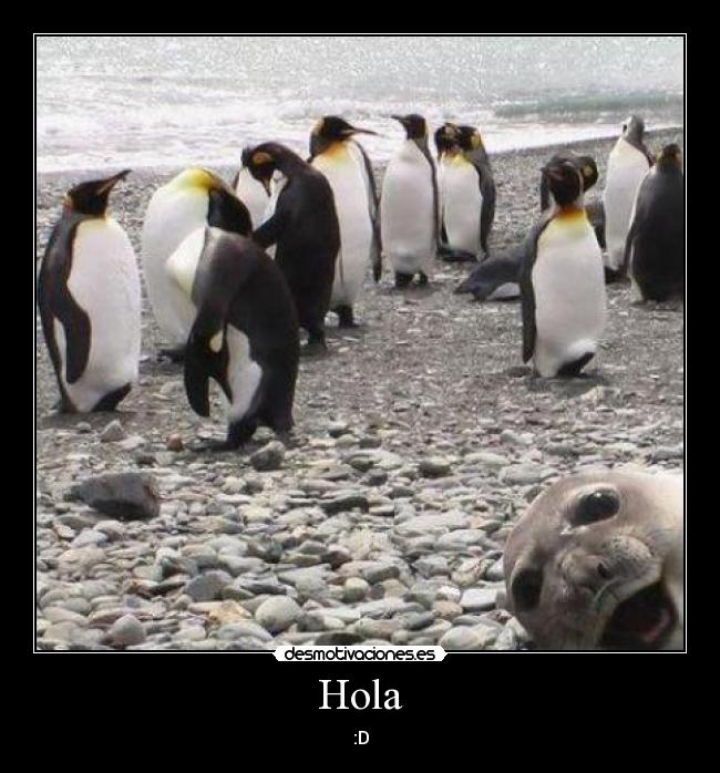 carteles hola pinguinos desmotivaciones