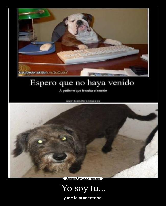 Yo soy tu... - y me lo aumentaba.