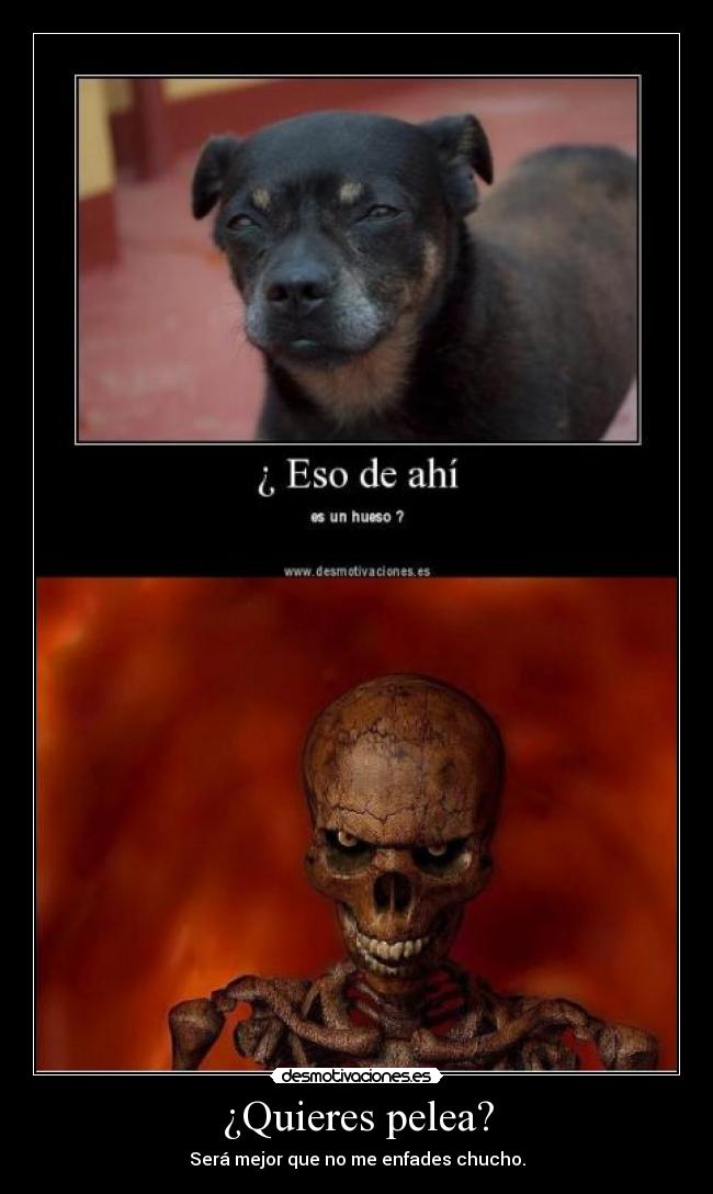 ¿Quieres pelea? - Será mejor que no me enfades chucho.