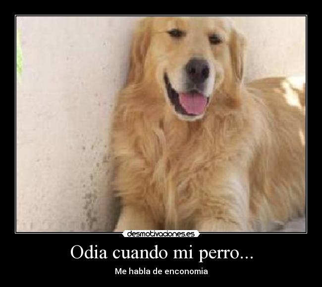 Odia cuando mi perro... - Me habla de enconomia