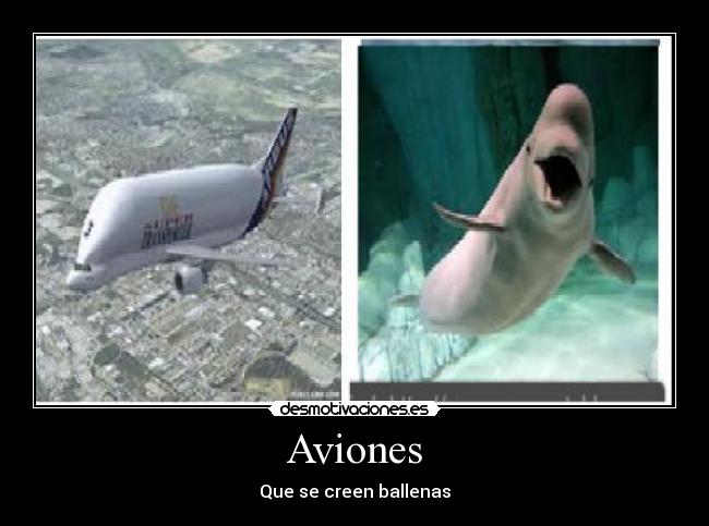Aviones -