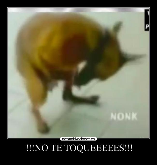 !!!NO TE TOQUEEEEES!!! - 
